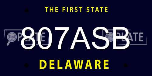 807ASB Delaware License Plate