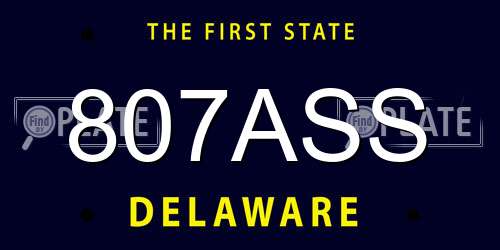 807ASS Delaware License Plate