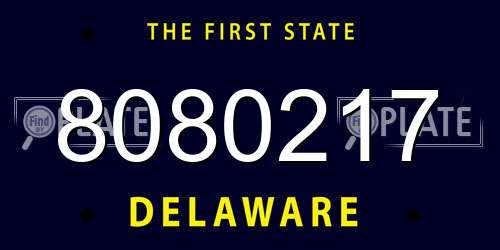 8080217 Delaware License Plate