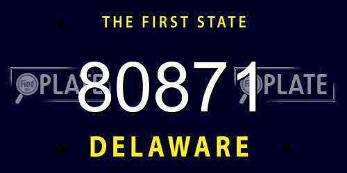 80871 Delaware License Plate