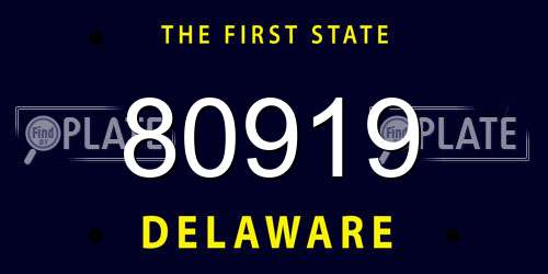80919 Delaware License Plate