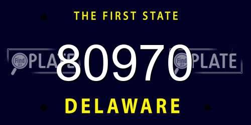 80970 Delaware License Plate
