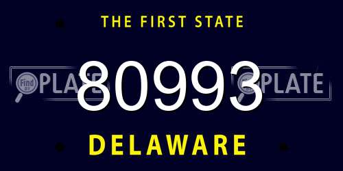 80993 Delaware License Plate