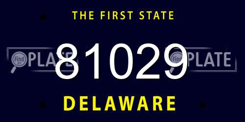 81029 Delaware License Plate