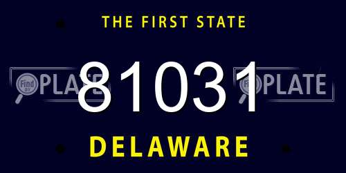 81031 Delaware License Plate