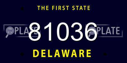 81036 Delaware License Plate