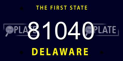 81040 Delaware License Plate