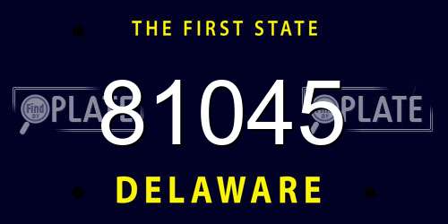 81045 Delaware License Plate