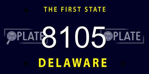 8105 Delaware License Plate