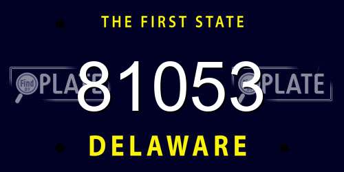 81053 Delaware License Plate