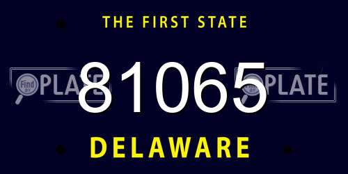 81065 Delaware License Plate