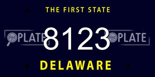 8123 Delaware License Plate