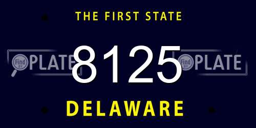 8125 Delaware License Plate