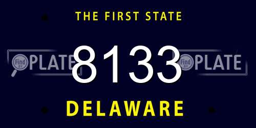 8133 Delaware License Plate