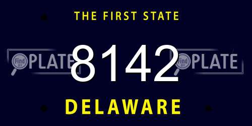 8142 Delaware License Plate