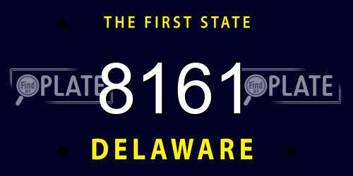 8161 Delaware License Plate