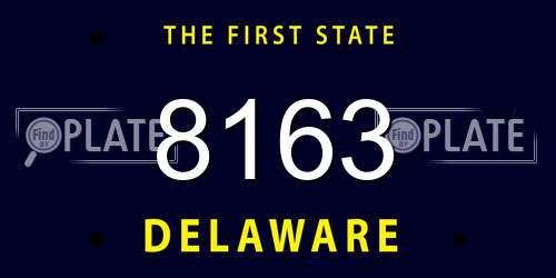 8163 Delaware License Plate