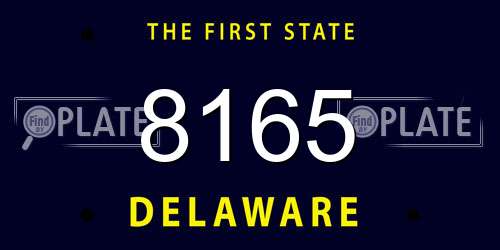 8165 Delaware License Plate