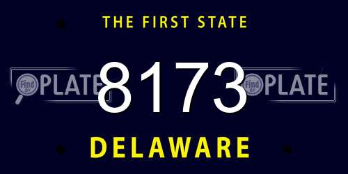 8173 Delaware License Plate