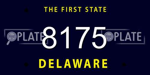 8175 Delaware License Plate