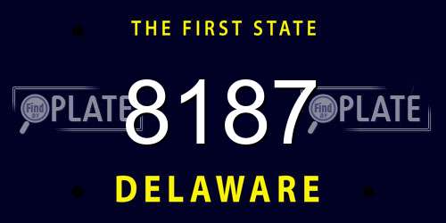 8187 Delaware License Plate
