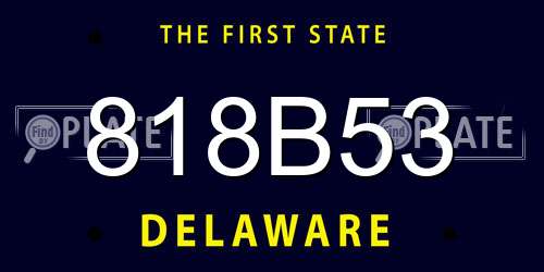 818B53 Delaware License Plate