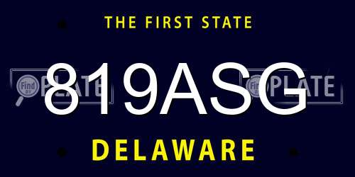 819ASG Delaware License Plate