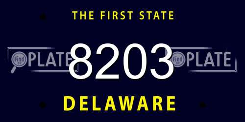 8203 Delaware License Plate
