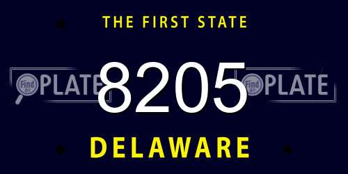 8205 Delaware License Plate