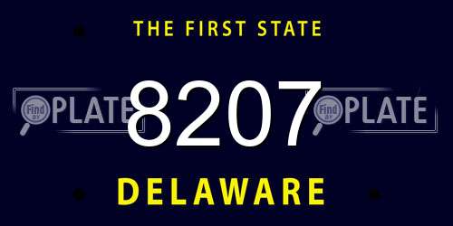 8207 Delaware License Plate