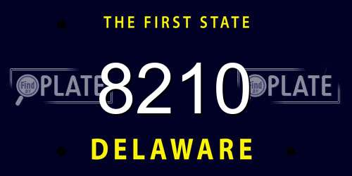 8210 Delaware License Plate