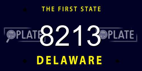 8213 Delaware License Plate