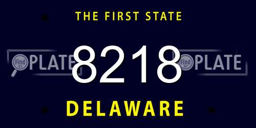 8218 Delaware License Plate