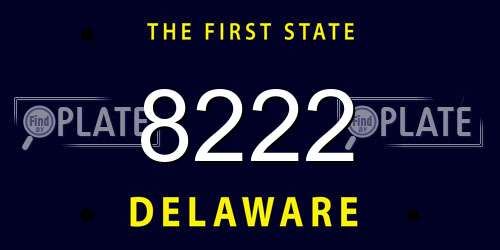 8222 Delaware License Plate