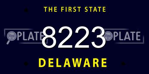8223 Delaware License Plate