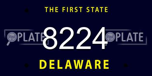 8224 Delaware License Plate