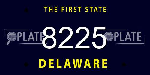 8225 Delaware License Plate