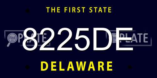 8225DE Delaware License Plate