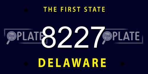 8227 Delaware License Plate