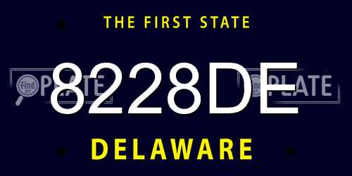 8228DE Delaware License Plate