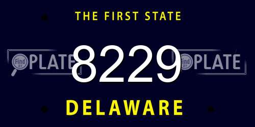 8229 Delaware License Plate