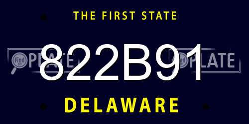 822B91 Delaware License Plate