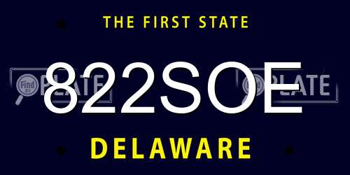 822SOE Delaware License Plate