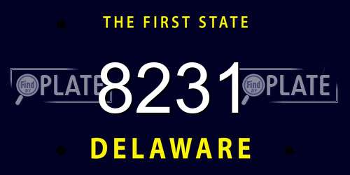 8231 Delaware License Plate