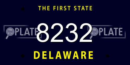 8232 Delaware License Plate