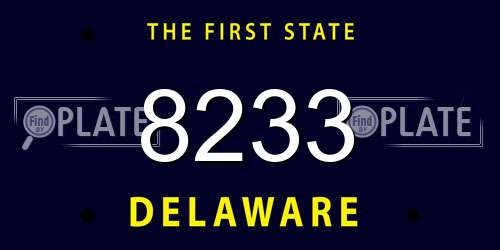 8233 Delaware License Plate