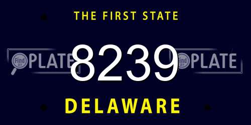 8239 Delaware License Plate