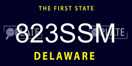 823SSM Delaware License Plate