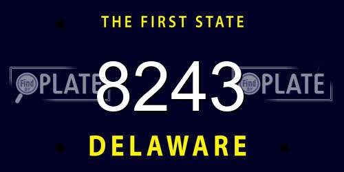 8243 Delaware License Plate