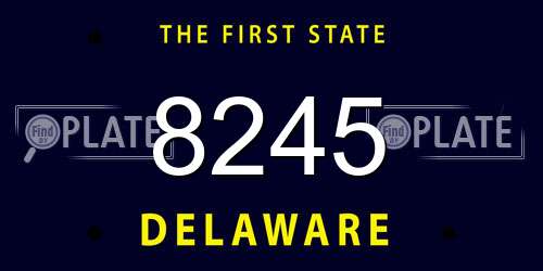 8245 Delaware License Plate